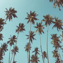 Tropical palms vintage stylized