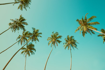 Palmbomen over heldere hemel vintage filter afgezwakt met kopie ruimte