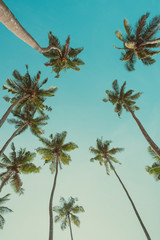 Obraz premium Retro nostalgic toned palm trees over summer clear sky perspective view