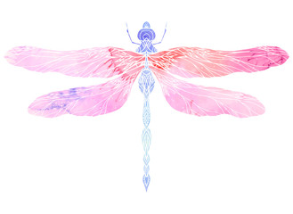 Obraz na płótnie Canvas Watercolor illustration of dragonfly with boho pattern. Vector element for your creativity