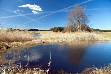 Autumnal view of pond, Bohemian and Moravian highland