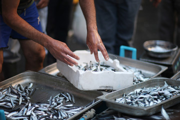 The seller in the fish market prepares for sale fresh anchovies