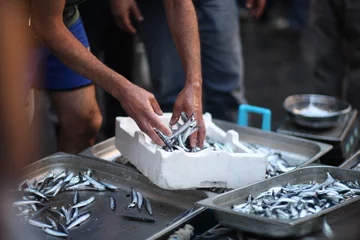 Foto auf Alu-Dibond Fish The seller in the fish market prepares for sale fresh anchovies