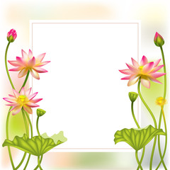Pink lotus. Beautiful floral background. Buddhism. Symbol. Border. SPA-center. Eastern philosophy. India. Water lily. Health. Cosmetics. frame. Border. bouquet of lotuses.
