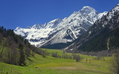 Fototapeta na wymiar Caucasus in spring