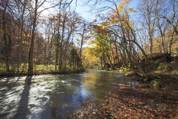 Oirase Gorge beautiful river druing the autumn season, Japan