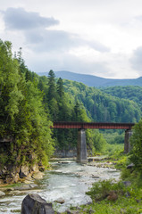 Fototapeta na wymiar mountain river with a rapid current of rocks and a bridge
