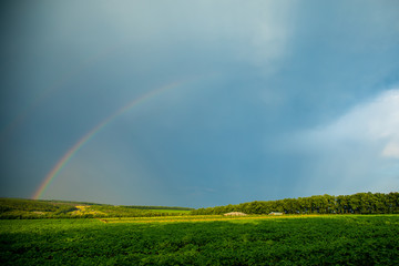 Beautiful summer landscape. Rainbow in the sky. A bright sunny day.
