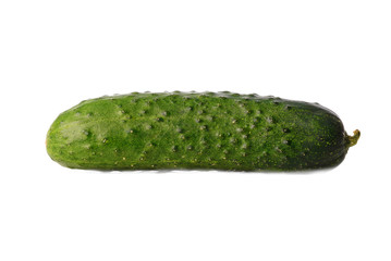 Ripe, washed appetizing and tasty bright green cucumber on a white isolated background