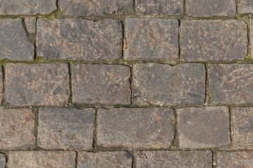 Obraz premium Olden cobblestone pavement