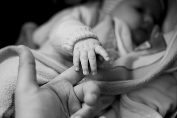 Baby hand holding parent