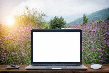 Computer notebook and mouse at lavender garden