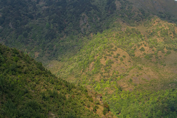 A shadow from the clouds covers the hills. Foothills of the Himalayas. The surface of the hills
