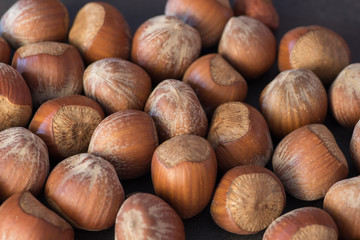 Waldsee, GER, Rheinland-Pfalz - July 26, , Studio . Im Bild: Ganze Haselnuss, Haselnüsse  . (Photo by Ulrich Roth / www.ulrich-roth.com) +++ Foto ist honorarpflichtig +++ no model release ++++
