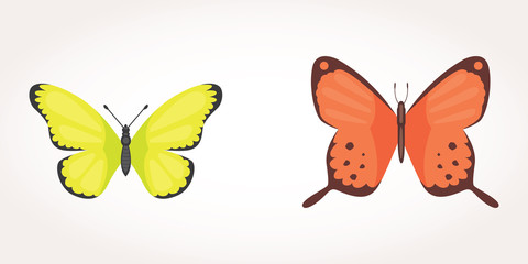 Printset of colorful Butterfly Vector Design Illustration. summer insect