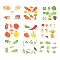 Farming production, vegetables icons set. Healthy food
