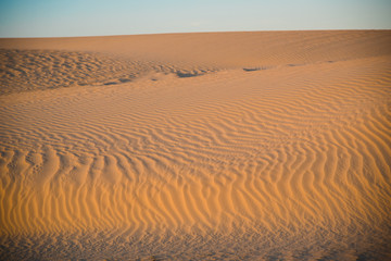 Fototapeta na wymiar Sand dunes at sunset in the Sahara Desert, Tunisia.