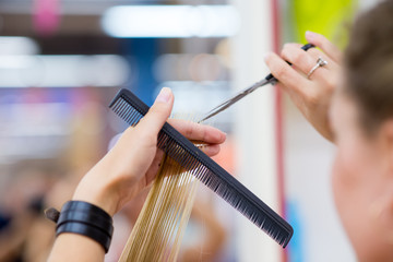 Hairdresser making a hair style to cute little girl