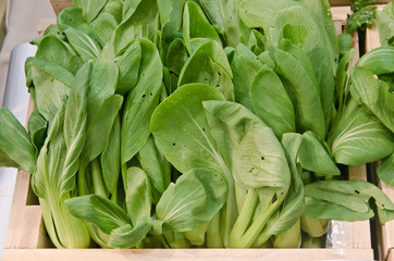 Choy sum vegetable on display for sale at a luxurious market