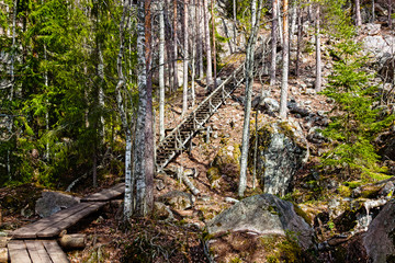 Wooden stairs in the Park