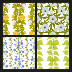 Technical plants with leaves, pods and flowers. Seamless patterns. Vector illustration.
