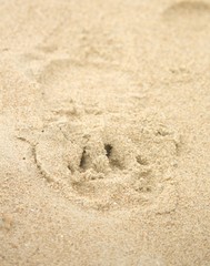 Foot print