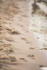 Fototapeta na wymiar selective focus of footprints on sandy beach on summer day