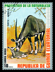 Postage stamp. African  Oryx.