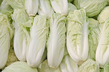 fresh chinese cabbage vegetable on display for sale at a luxurious market