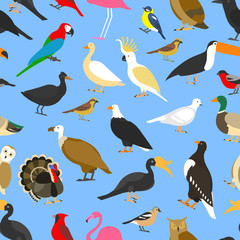 big set of tropical, domestic and other birds, cardinal, flamingo, owls, eagles, bald, sea, parrot, goose. raven. sparrow. chicken. turkey. toco toucan. hornbill. griffon. duck. Seamless pattern.