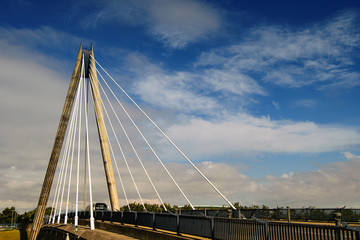 Obraz premium Cable bridge. 
