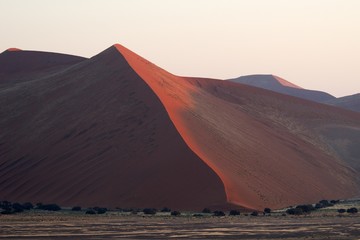 Fototapeta na wymiar Dune 45, Namib Naukluft National Park, Namibia
