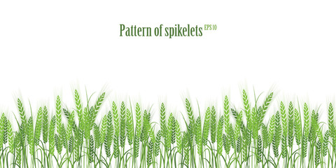 Vector silhouette of wheat. Wheat in the field on a white background.