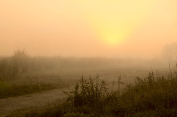 Fototapeta na wymiar on the road in the foggy dawn