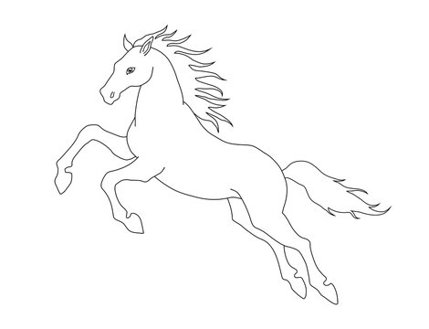 Line illustration of jumping horse for coloring books. Vector image.