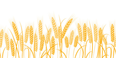 Vector silhouette of wheat. Wheat in the field on a white background.