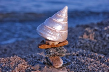 Rock balancing with the seashell against the sea