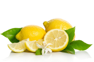 Lemons tree flower and a lemons isolated on white background