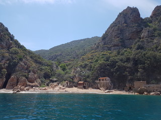 Corse