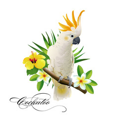 Parrot cockatoo on the tropical branches with leaves and flowers on white background. Vector illustration. - obrazy, fototapety, plakaty