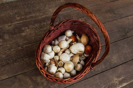 The brown basket with champignons on a wooden background, top view. Russia, Siberia.