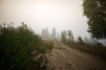 Fototapeta na wymiar Fog in the mountains