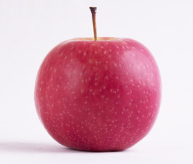 Pink Lady Apple