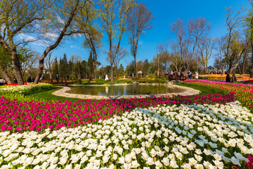 Traditional Tulip Festival in Emirgan Park, a historical urban park located in the Sariyer district of Istanbul, Turkey. Tourists visit and spend the weekend.ISTANBUL/TURKEY- APRIL 15,2017