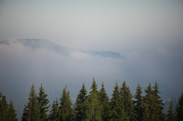 Fog in the mountains