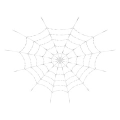 Vector spider web for Halloween design or t-shirt print. Cobweb. Isolated on white background.