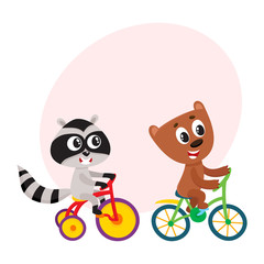 Cute little raccoon and bear characters riding bicycles together, cartoon vector illustration with space for text. Baby raccoon and bear animal characters riding bicycle and tricycle