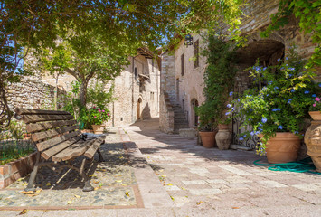 Assisi, Umbria (Italy) - The awesome medieval stone town in Umbria region, with castle and the famous Saint Francis sanctuary.