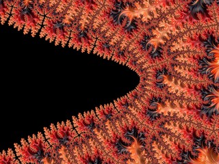 An abstract shape of Fractals