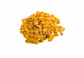 Corn seeds on white background